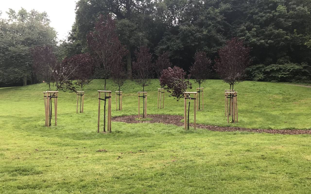Vandalismus Gedenkstätte Castrop-Rauxel
