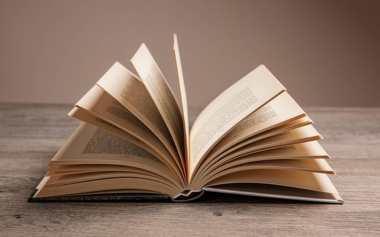 Ein aufgeschlagenes Buch (Symbolbild)