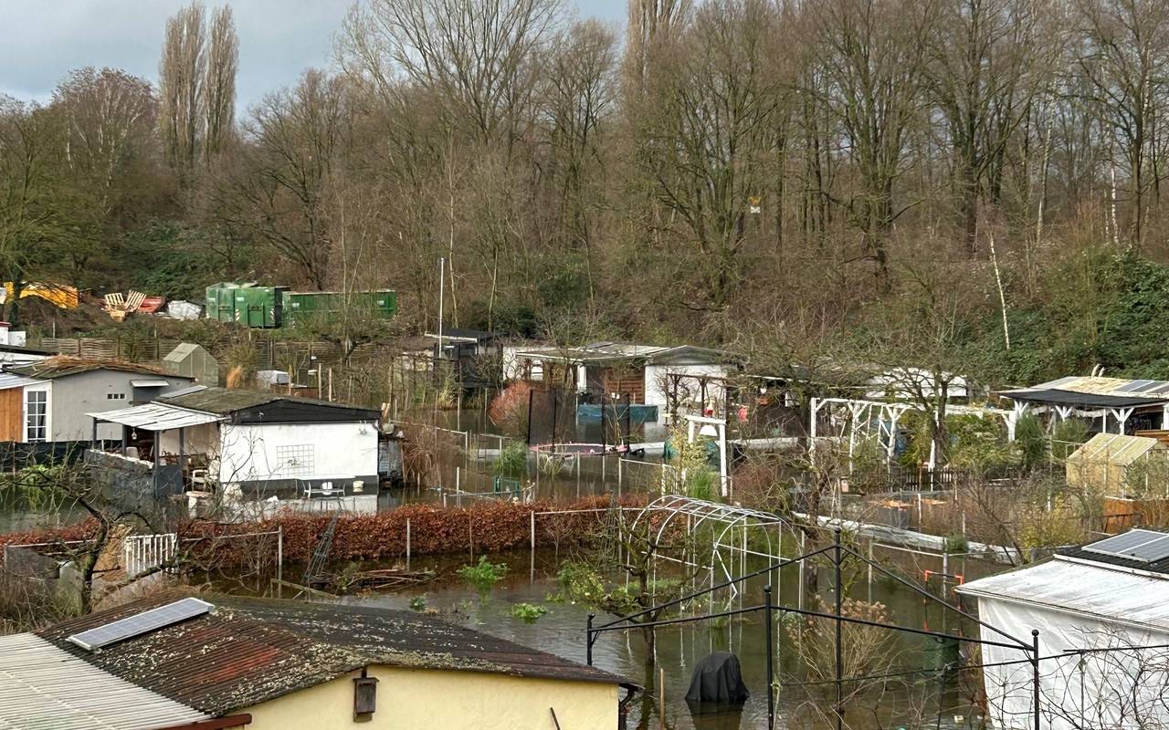 Die Parzellen in der Dorstener Kleingartenanlage stehen unter Wasser.