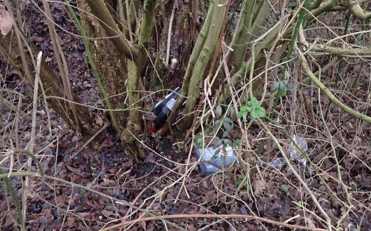Auch mehrere Behälter mit Altöl wurden am Kanal in Waltrop einfach ins Gebüsch geworfen.