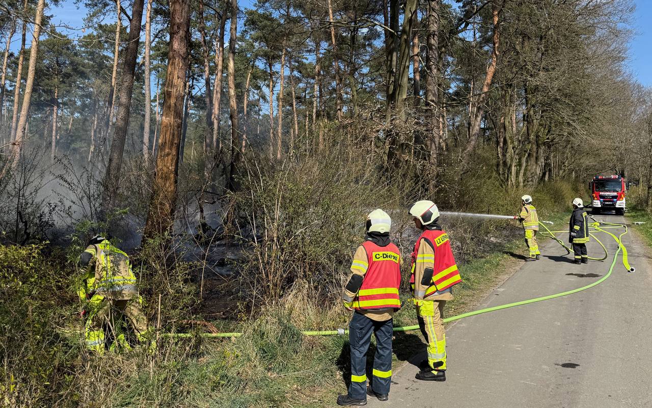 Die Feuerwehr Dorsten war mit mehreren Kräften bei dem Waldbrand im Stadtteil Lembeck im Einsatz.