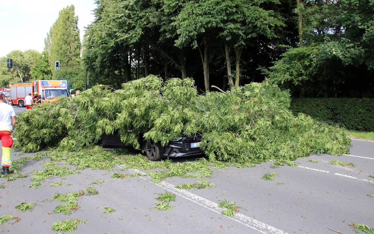 Das Auto wurde von dem umgestürzten Baum in Marl-Polsum völlig bedeckt.