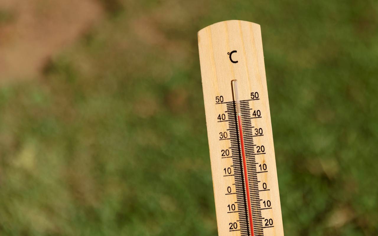 Symbolbild: Thermometer