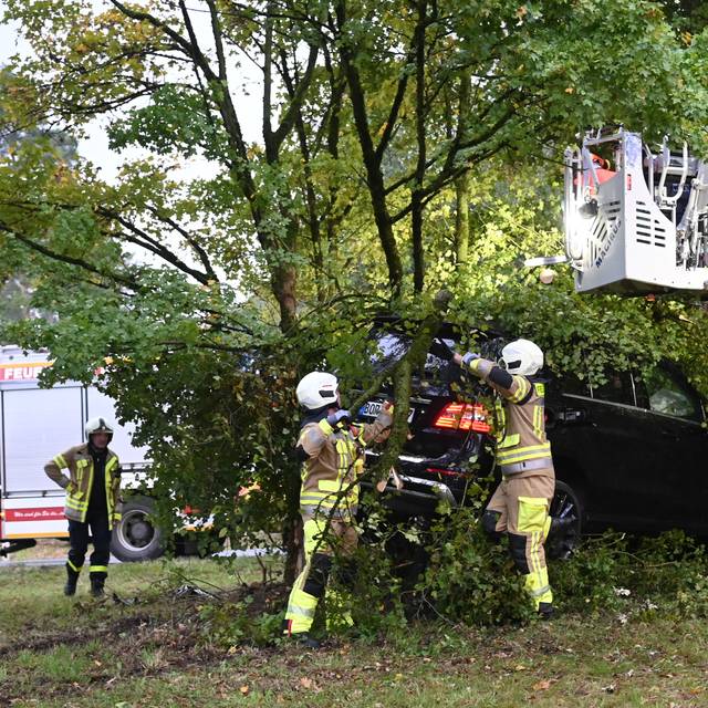 Die Feuerwehr musste das verunglückte Auto aus den Bäumen mit Kettensägen regelrecht freischneiden.