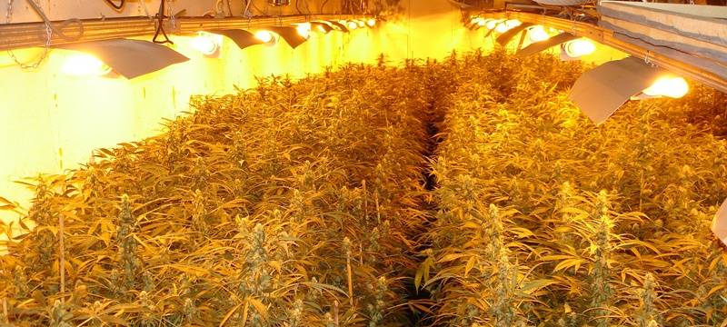 Drogendealer auf frischer Tat ertappt