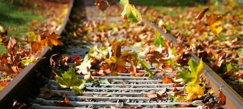 Städte stellen Laubcontainer auf