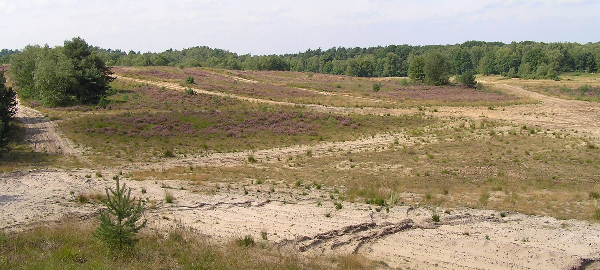 Autofahrerin verfährt sich auf Truppenübungsplatz