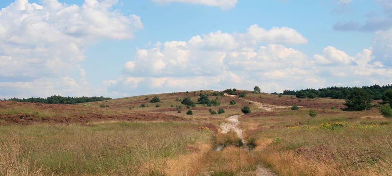 Granatenfund auf Truppenübungsplatz Borkenberge