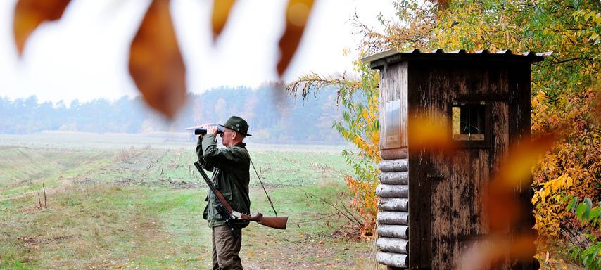 Schlosspark für Jagd gesperrt