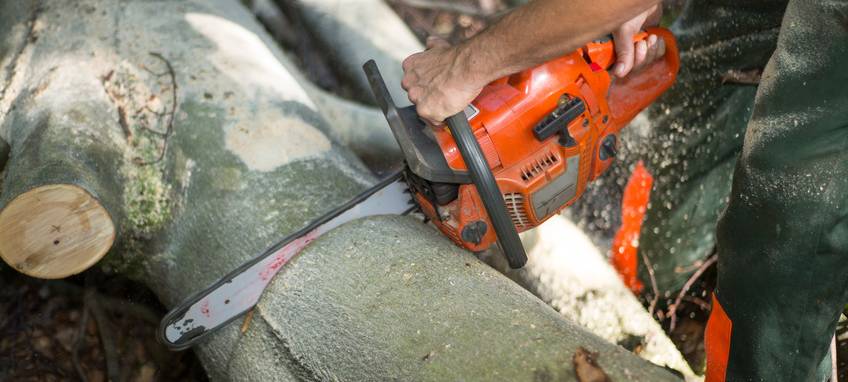 Grünarbeiten an Silbersee III