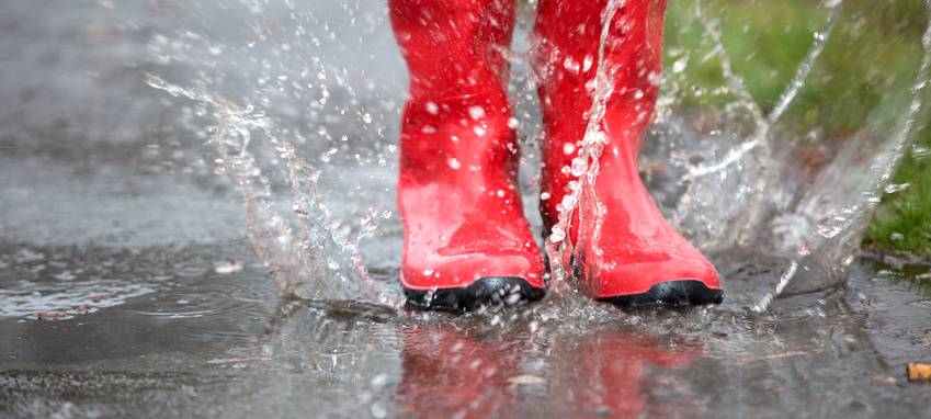 Neues Entwässerungssystem für Stadtgarten geplant