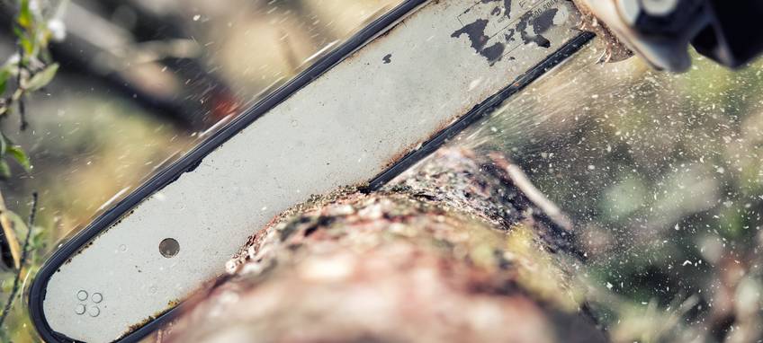 Kreisstraßen nach Sturm wieder freigegeben