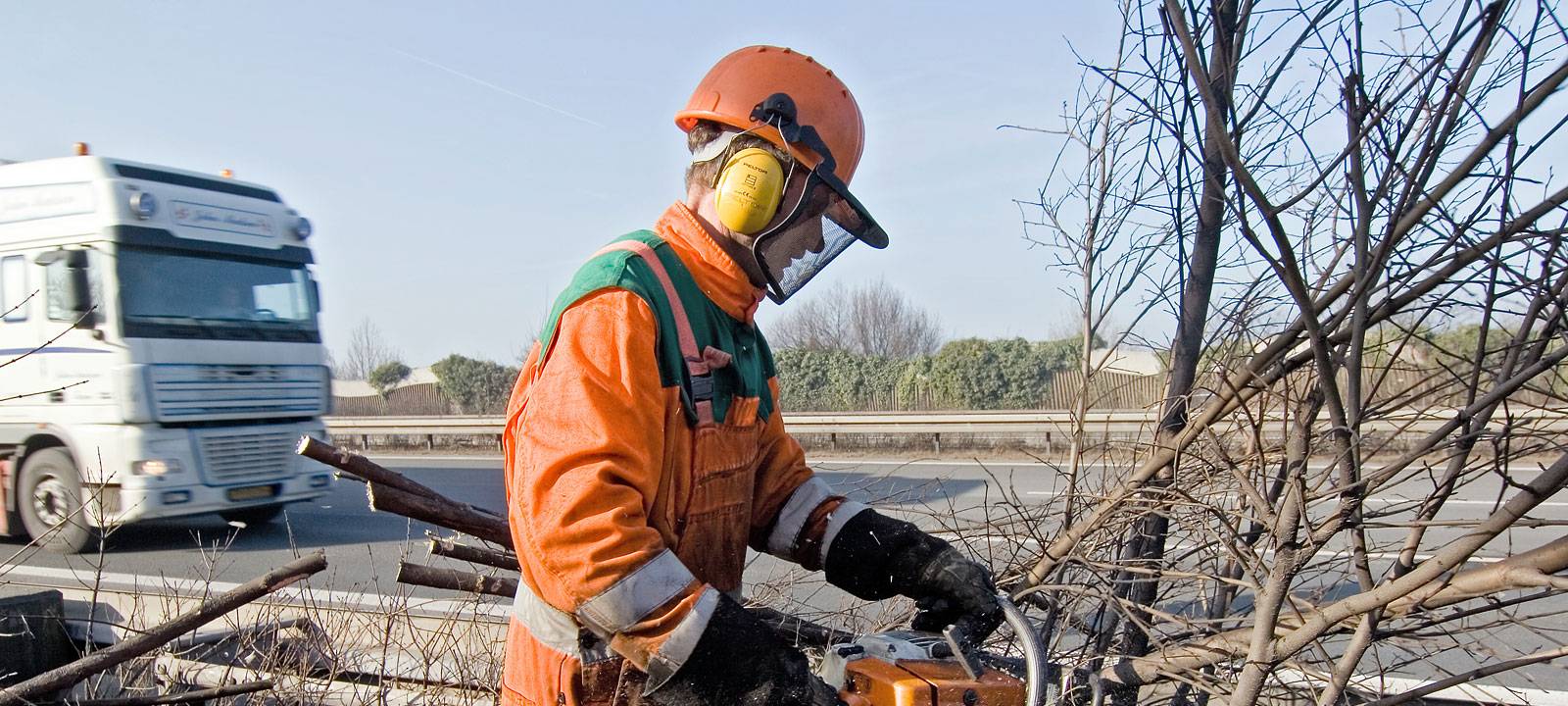 Baumfällungen starten