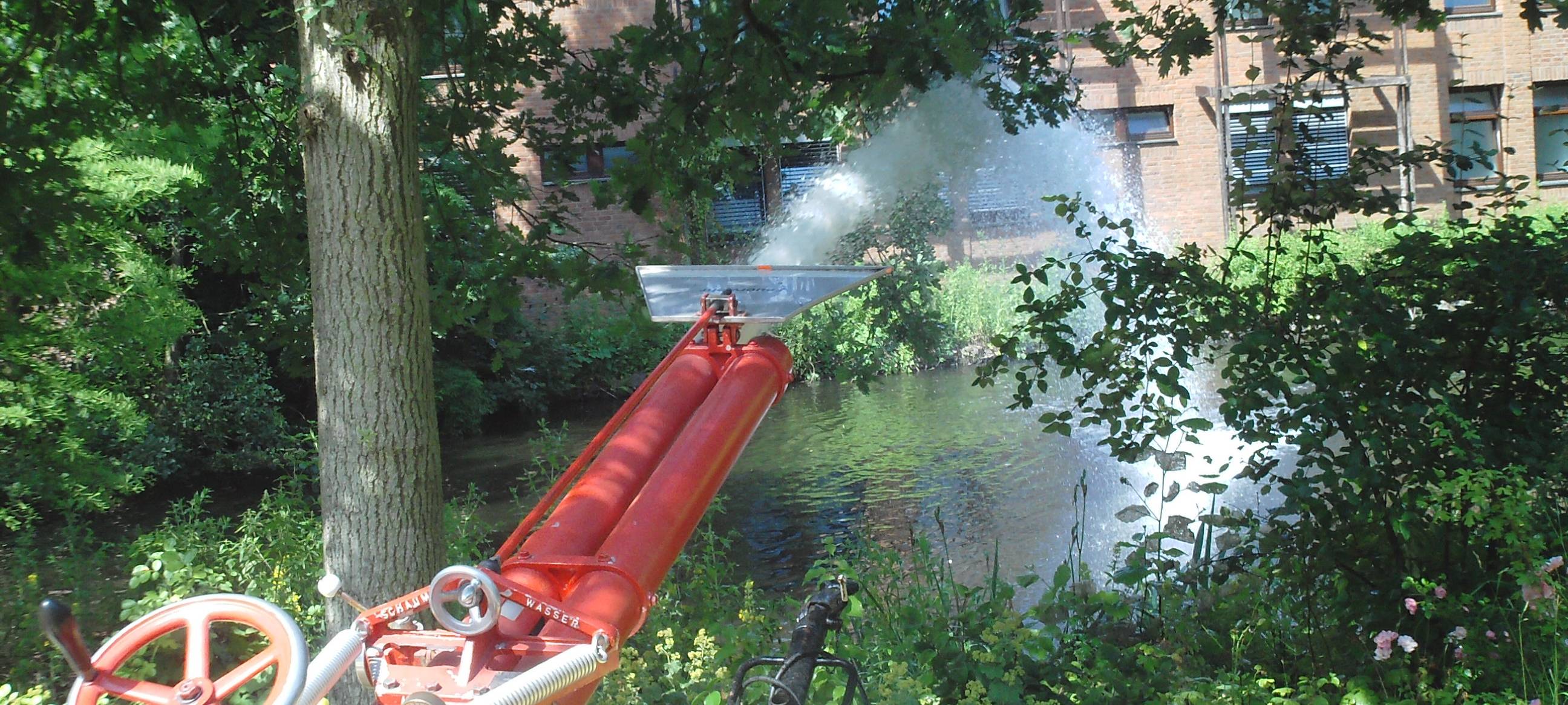 Hitze sorgt für Sauerstoffmangel in den Teichen
