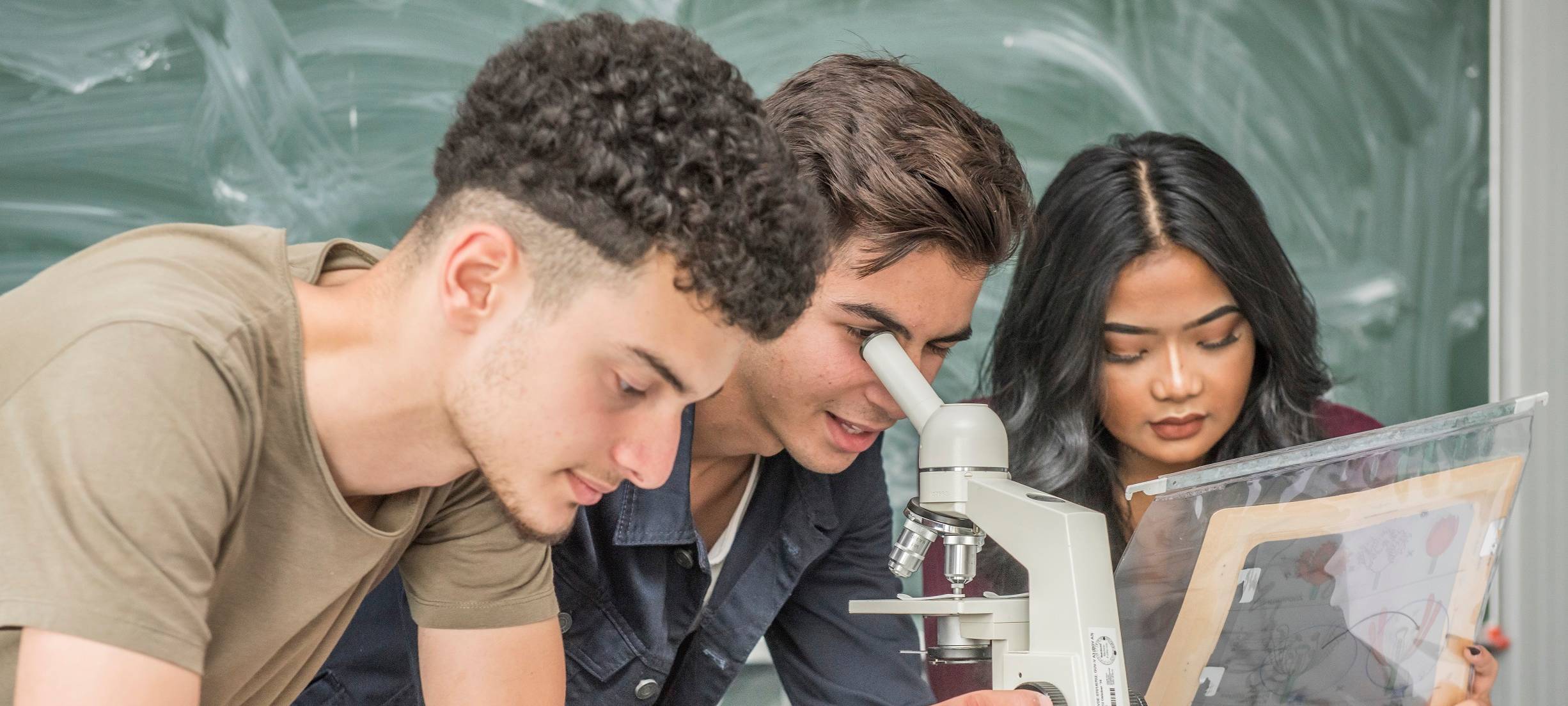 Drei Schulen werden zu Talentschulen