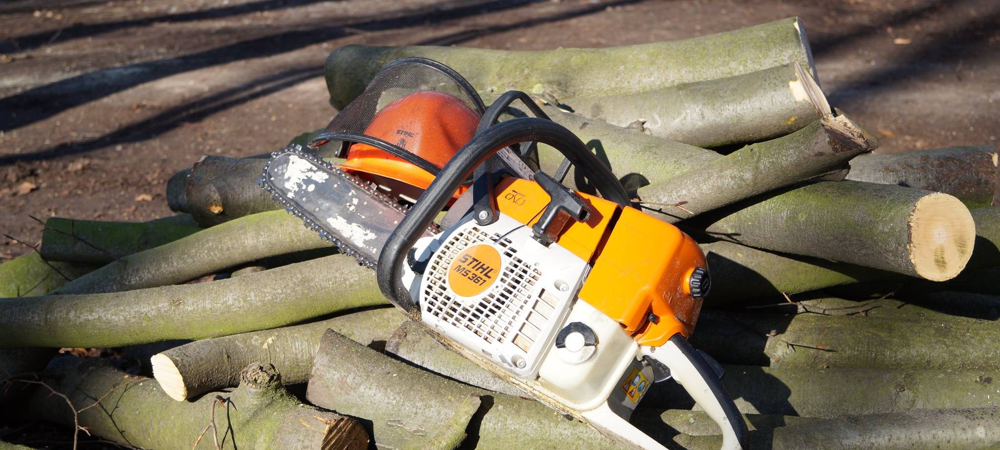 Dringende Warnung vor Waldspaziergängen