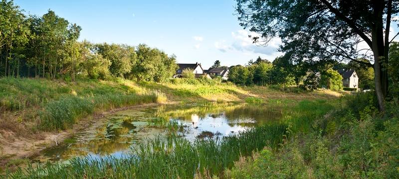 renaturierte Emscher