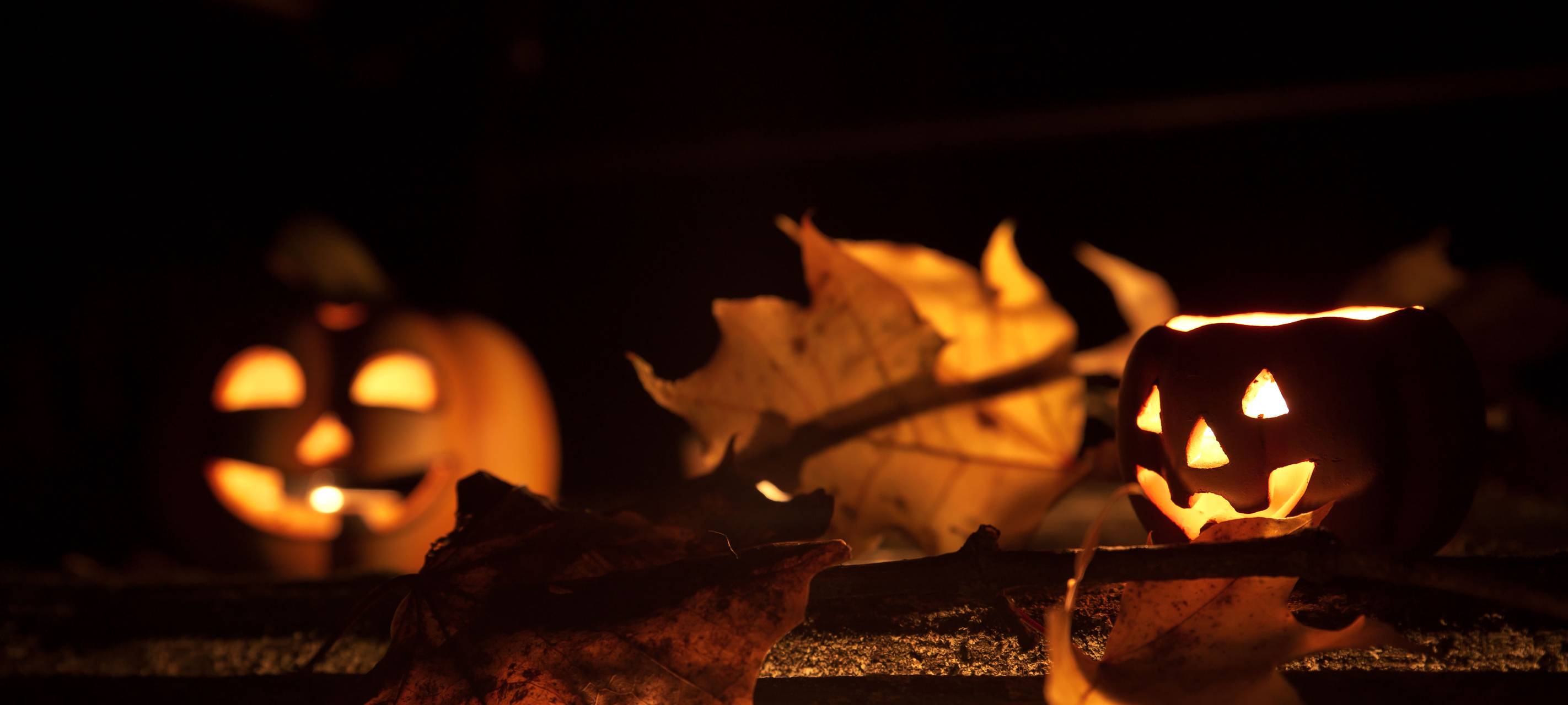 Movie Park: Mit dem Sonderzug zum Halloween-Horrorfest