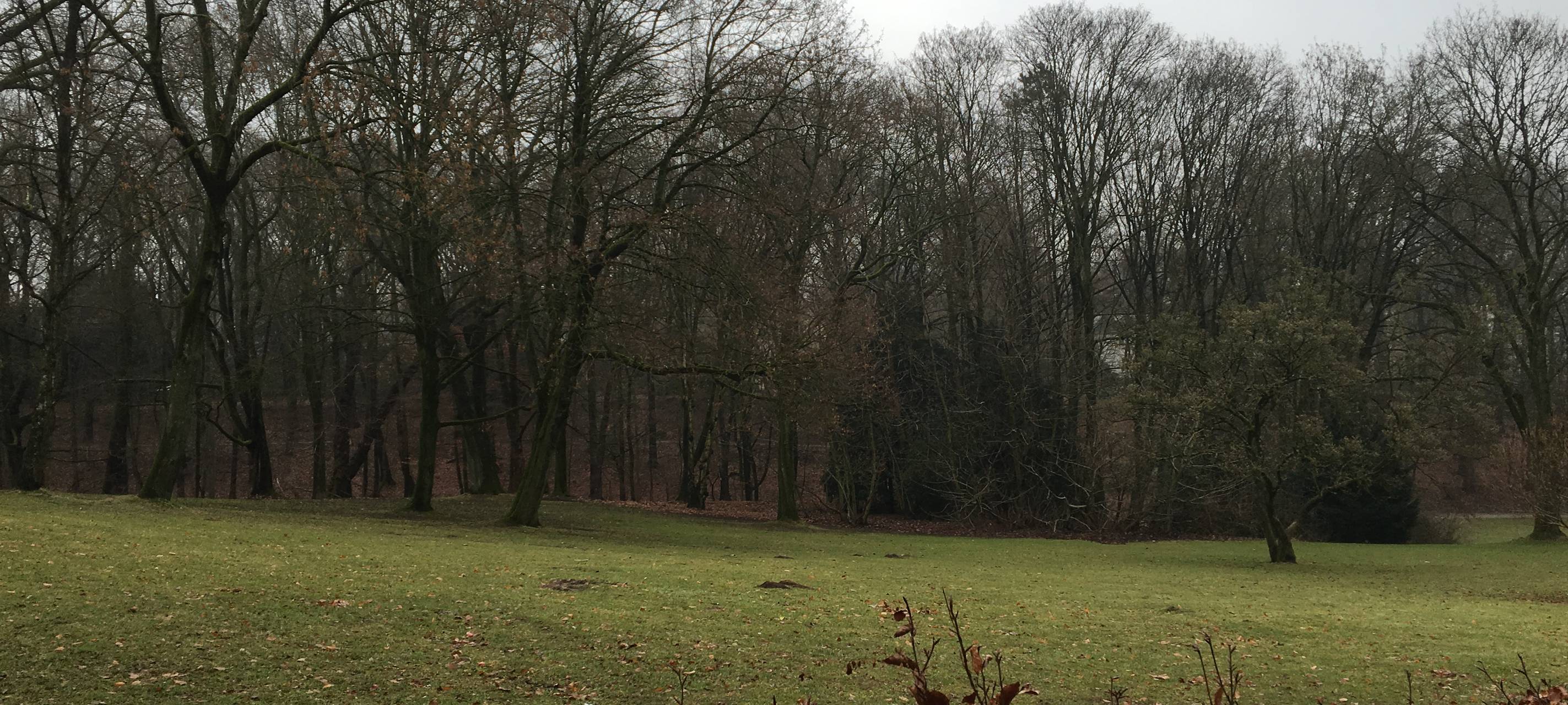 Grillen im Recklinghäuser Stadtgarten ist wieder erlaubt