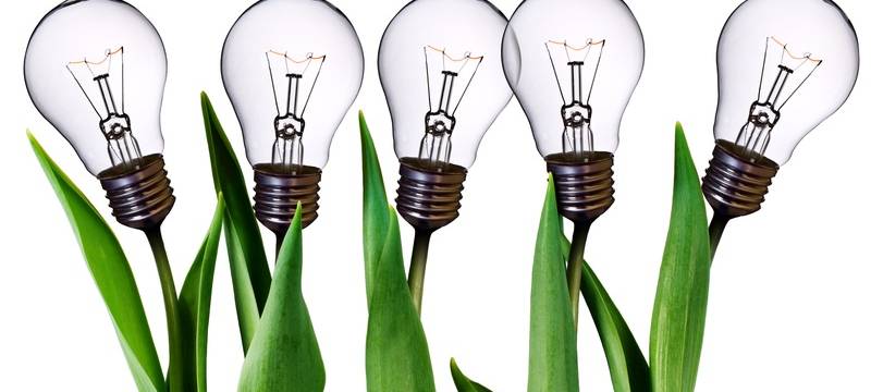 "Earth Night": Licht aus für eine ganze Nacht