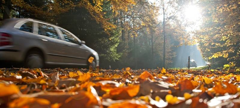 Mehr Unfälle im Herbst: Autofahrer sollten aufmerksam sein
