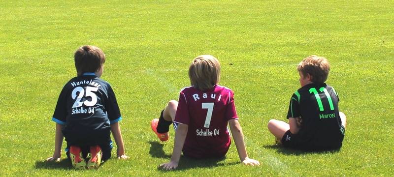 Sorge um möglicherweise schädlichen Kunstrasen