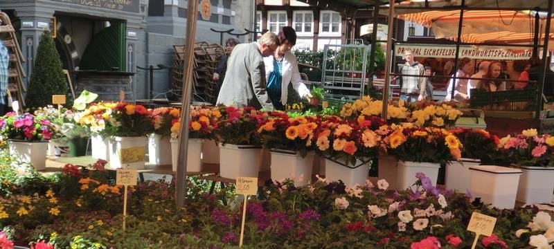 Marktschreier-Tage haben begonnen