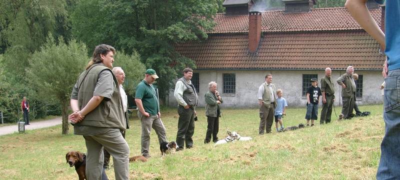 Gericht: Hundeschulen bleiben wegen Corona geschlossen