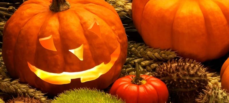 Herbst-Veranstaltungen locken ins Vest