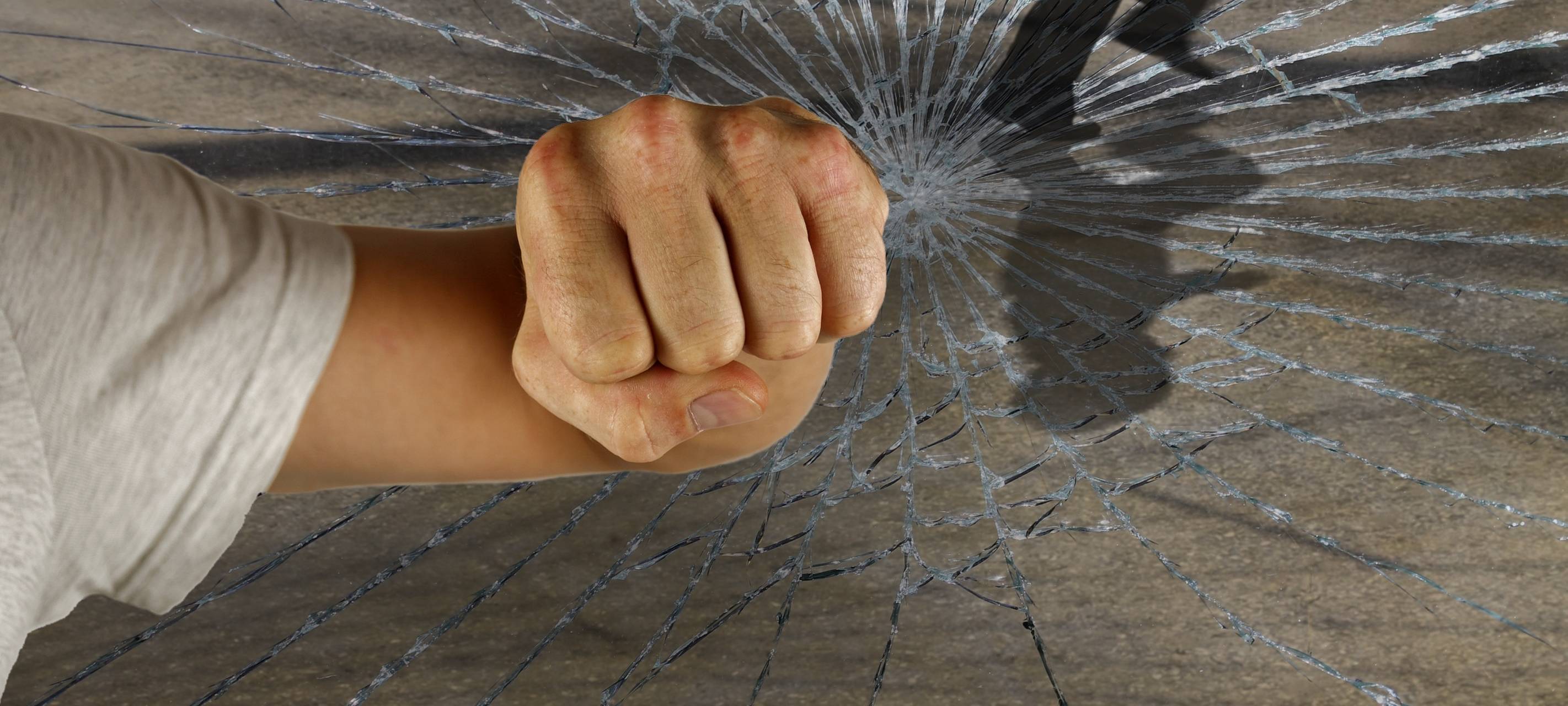 Junger Einbrecher auf frischer Tat ertappt