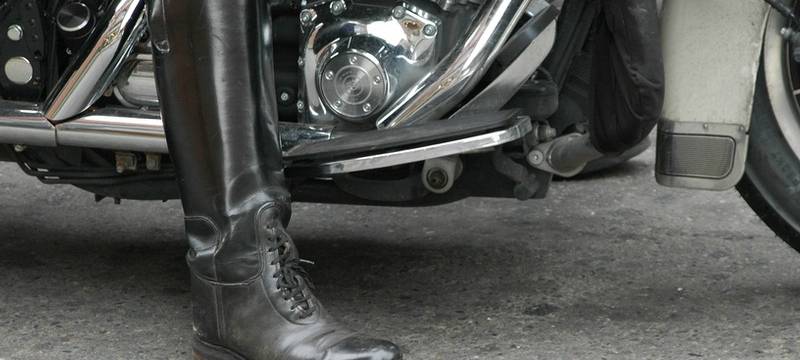 Wildunfall: Motorradfahrer stürzt