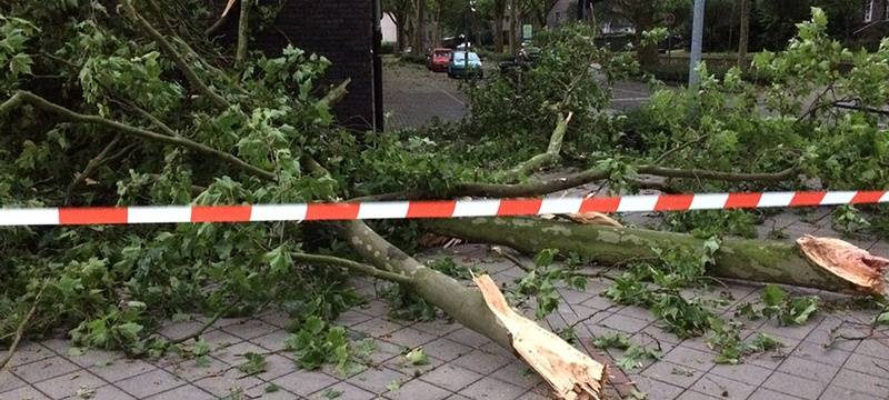Sturmtief wütet im Vest