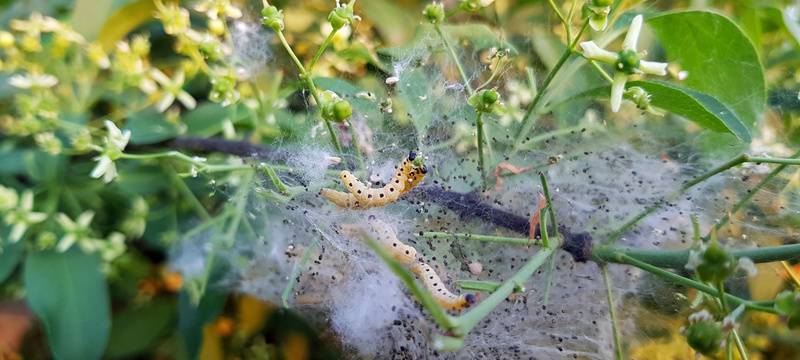 Bei Verwendung in Social Media Bildquelle manuell anfügen!