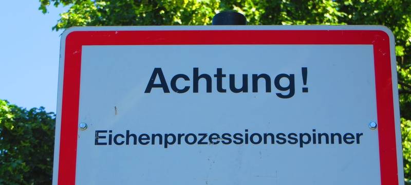 Schild mit der Aufschrift "Achtung Eichenprozessionsspinner"
Bei Verwendung in Social Media Bildquelle manuell anfügen!