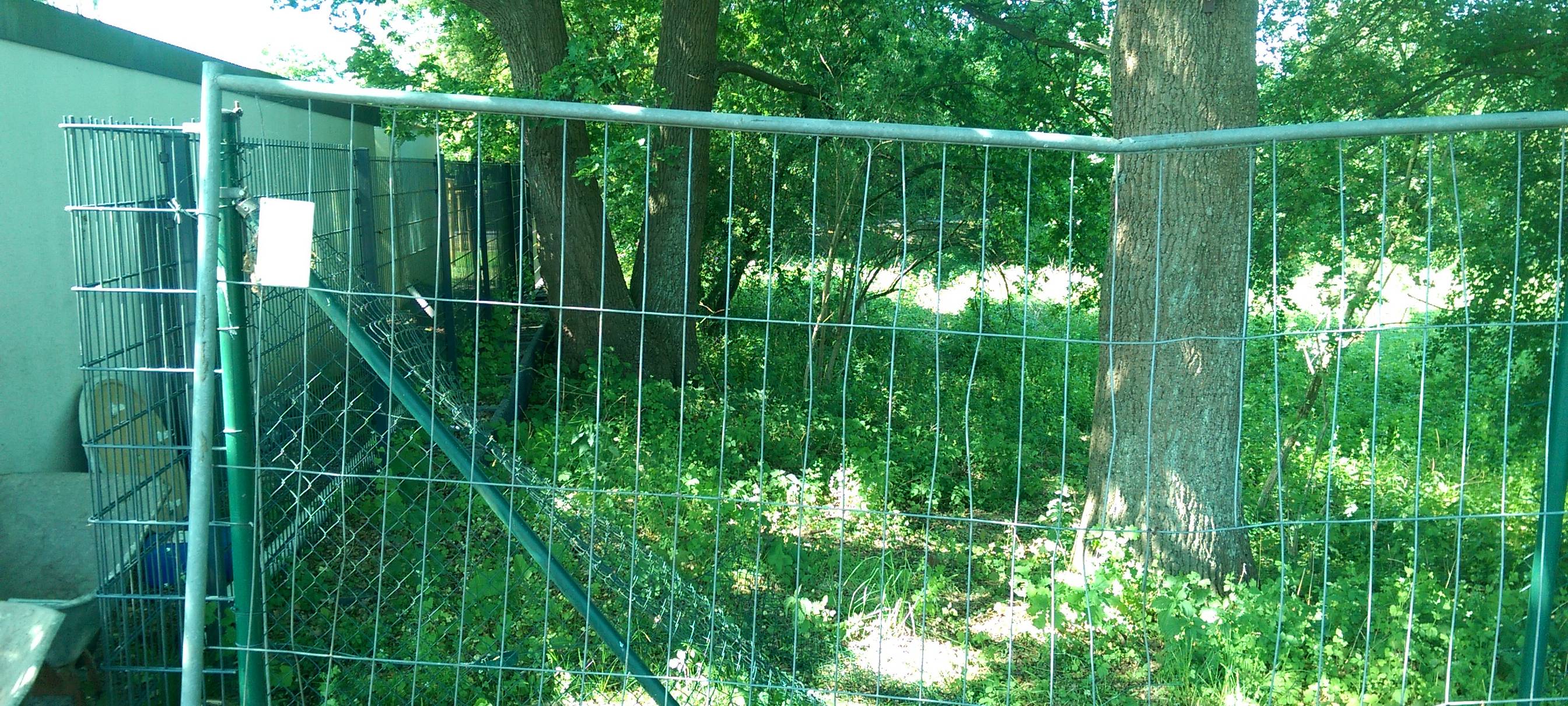 Zäune gegen Mai-Feierei