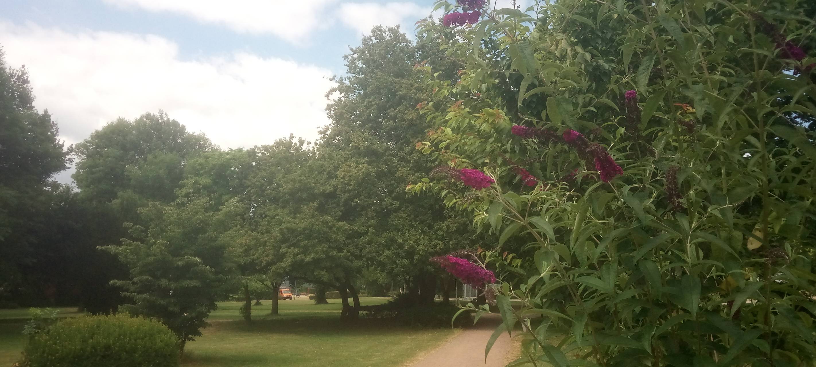 Bürgerinitiative für Stadtpark in Oer-Erkenschwick