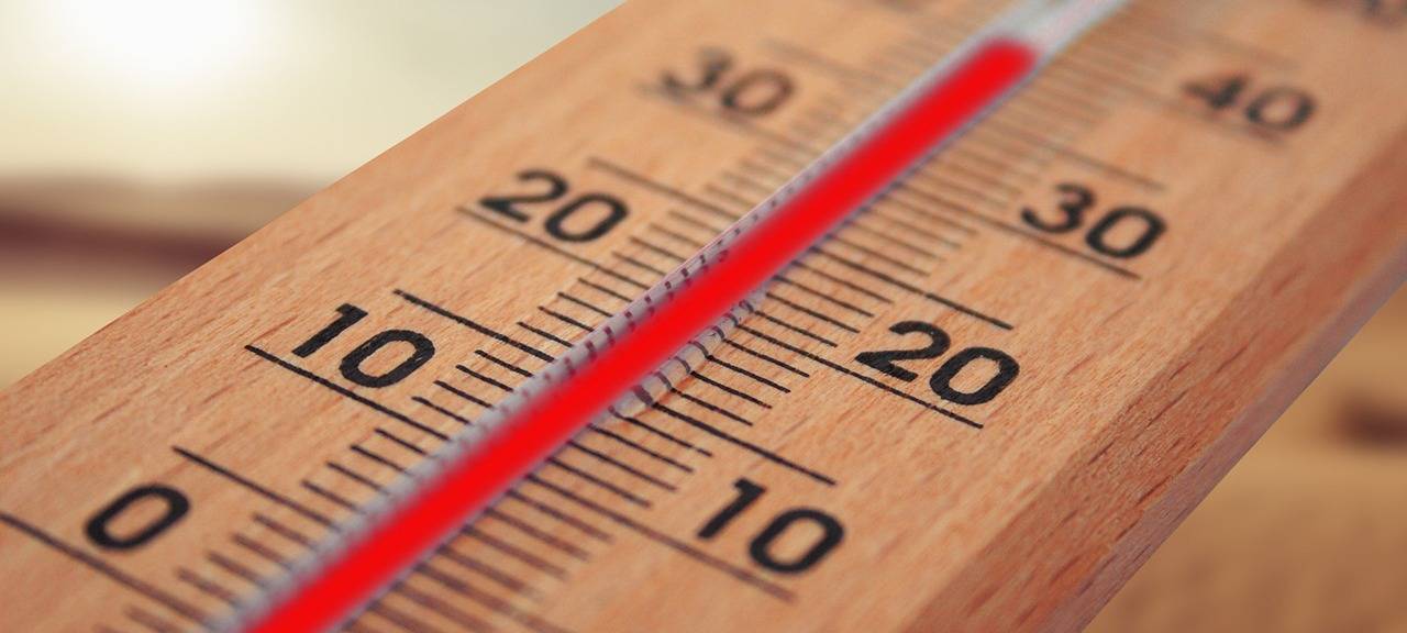 Hitzekord: Äste brechen ab, Veranstaltungen werden abgesagt