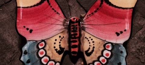 Entwarnung bei Motte in Bäumen und Sträuchern