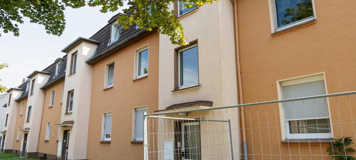 Giftschlange gefunden - Erleichterung für Anwohner