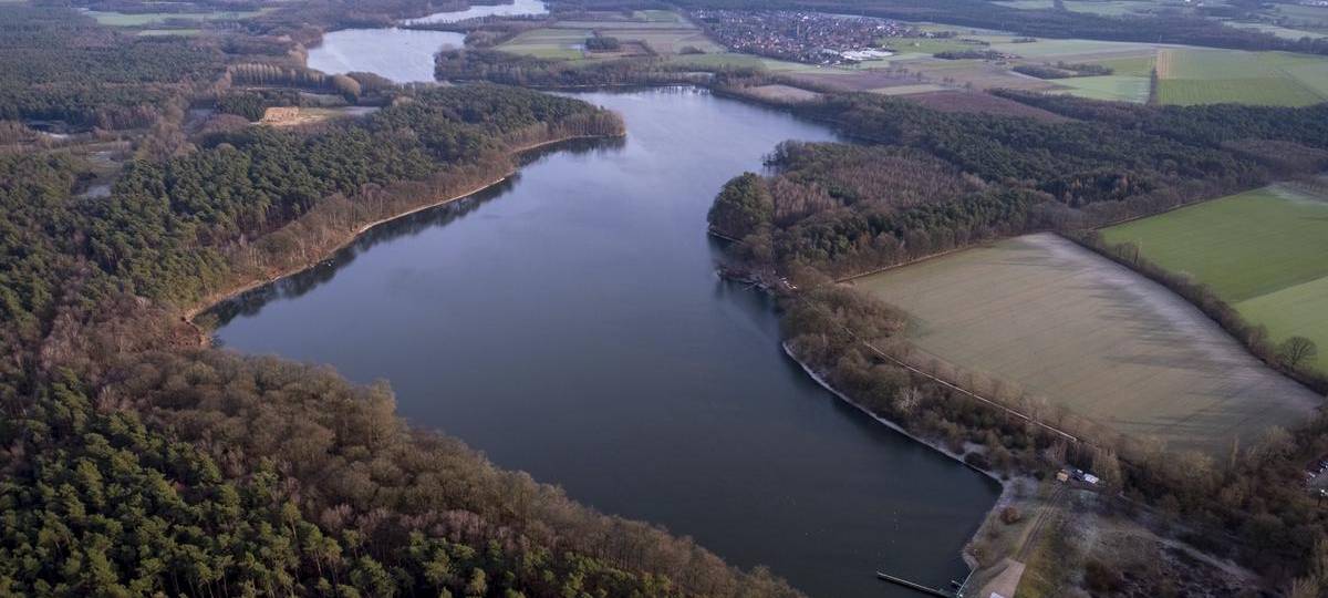Wieder viele tote Fische in der Stever