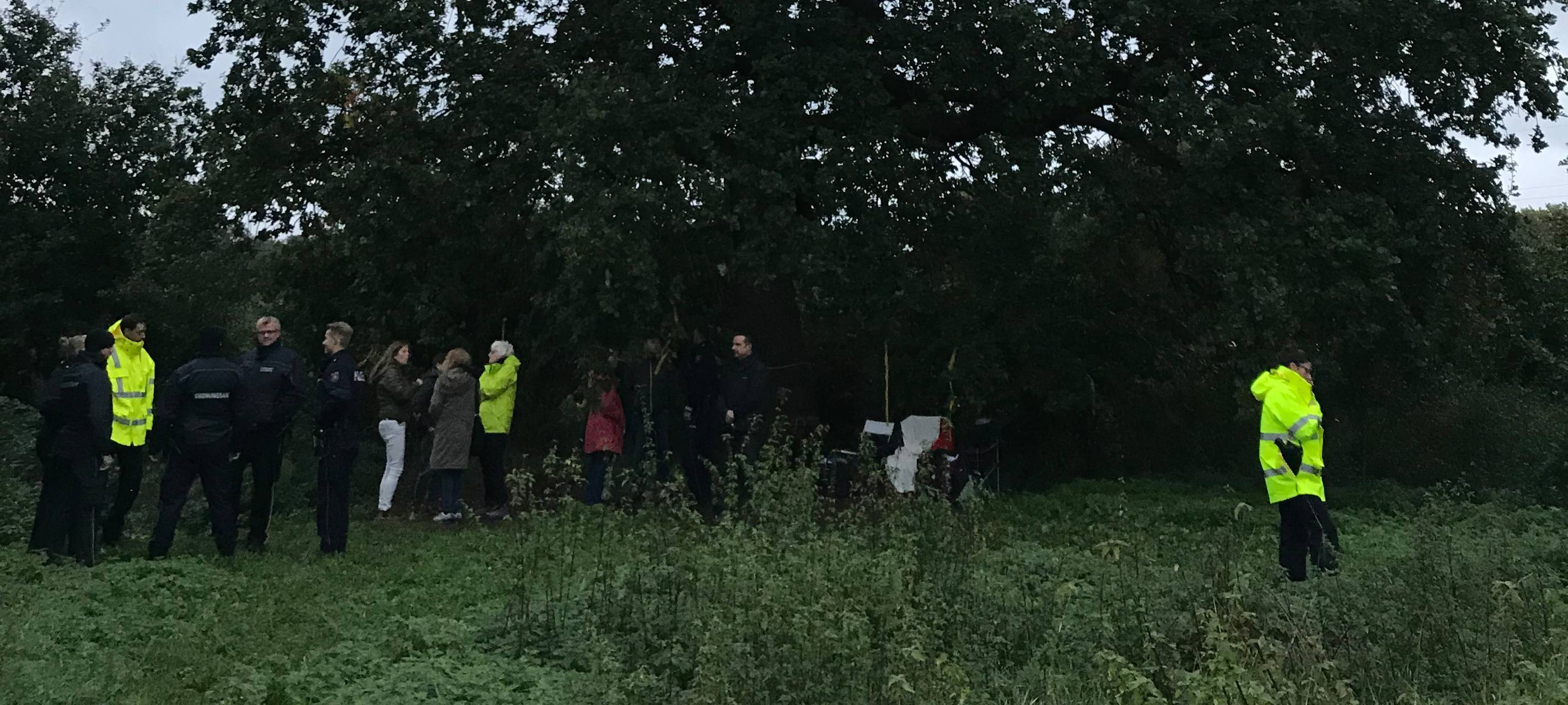 Umweltaktivisten besetzen 250 Jahre alte Eiche