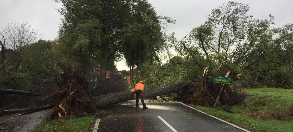 Holtwicker Straße nach Sturmschäden wieder frei
