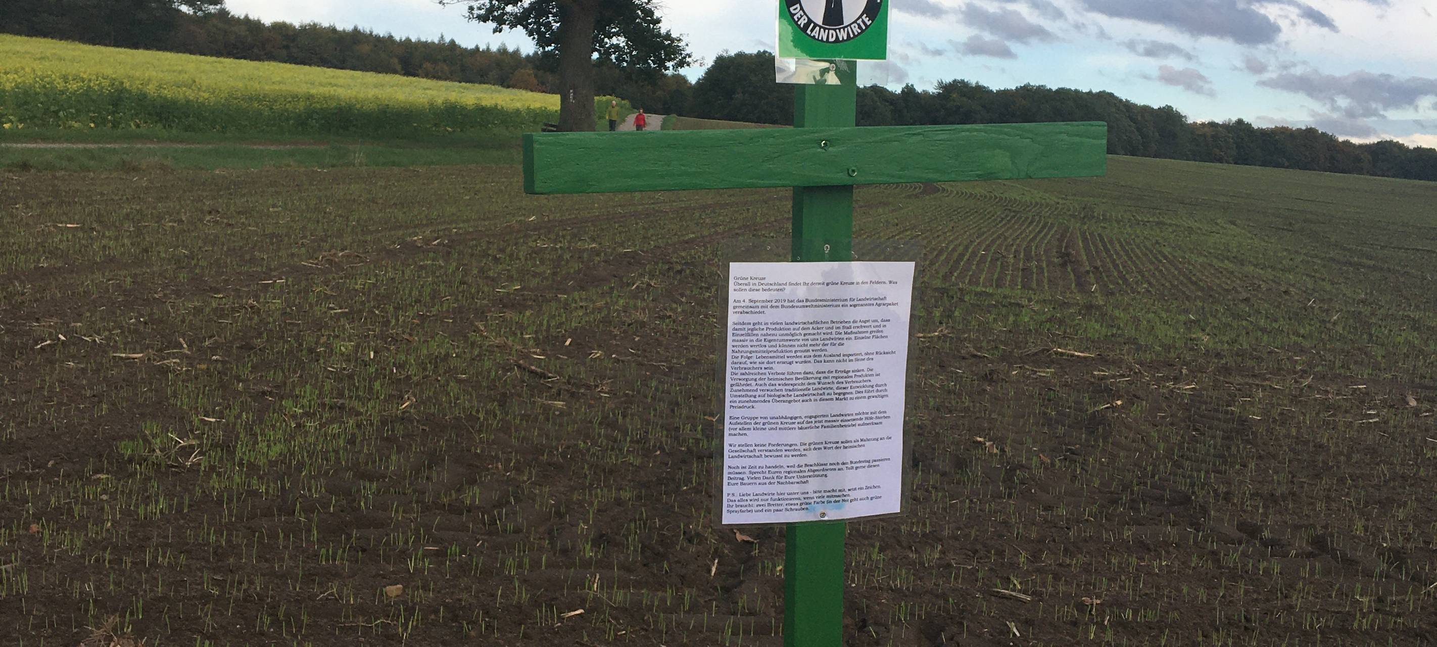 Grüne Kreuze auf Feldern im Vest