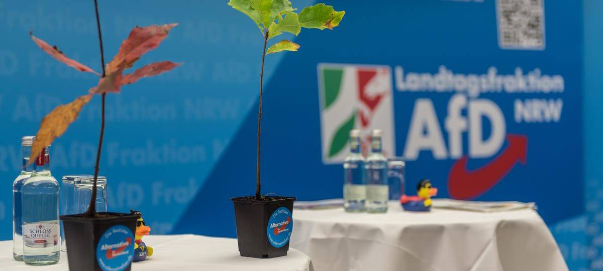 Landesparteitag der AfD wirft Schatten voraus