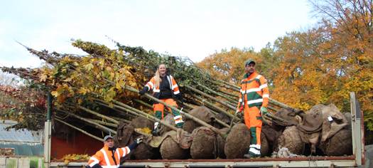 Neue Bäume für das Vest