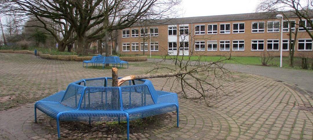 Mehrere Bäume in der Stadt zerstört