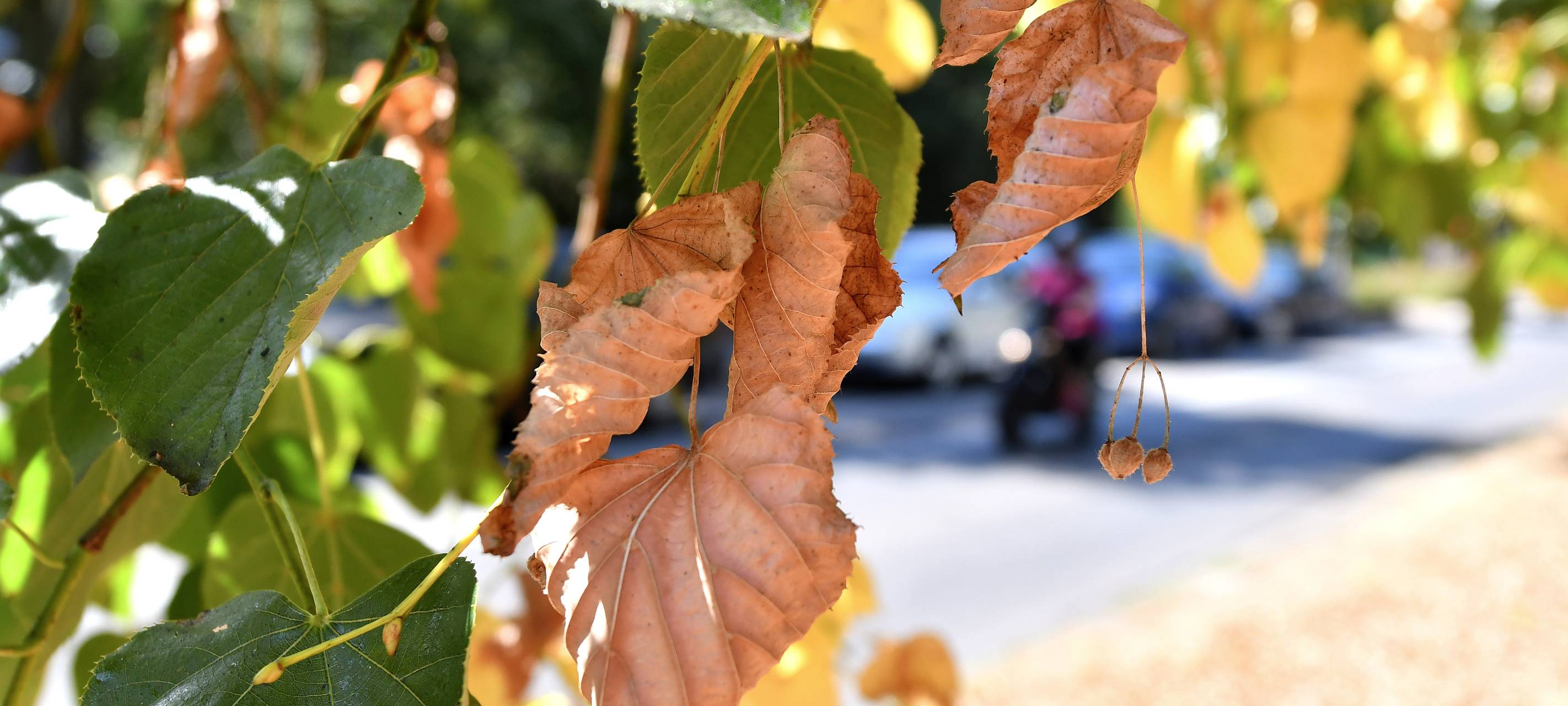 Der Mai war außergewöhnlich trocken