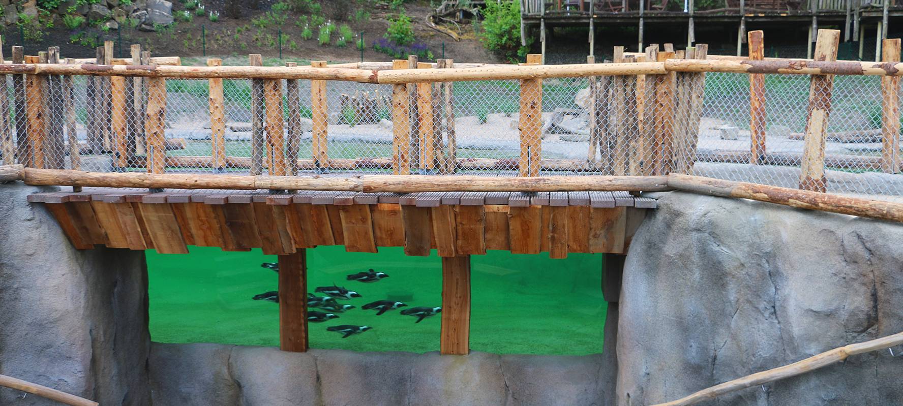 Pinguinanlage Zoom-Erlebniswelt