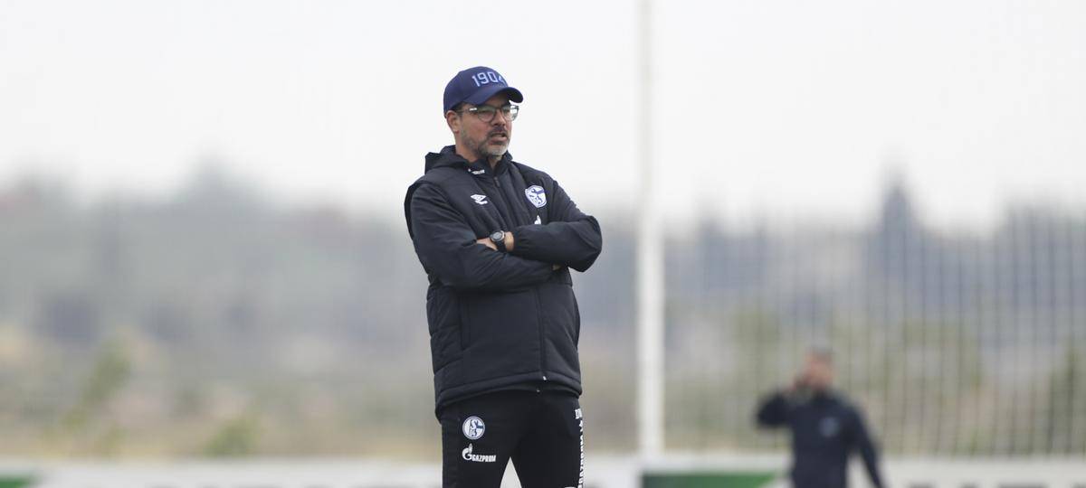 Schalke testet gegen Bochum