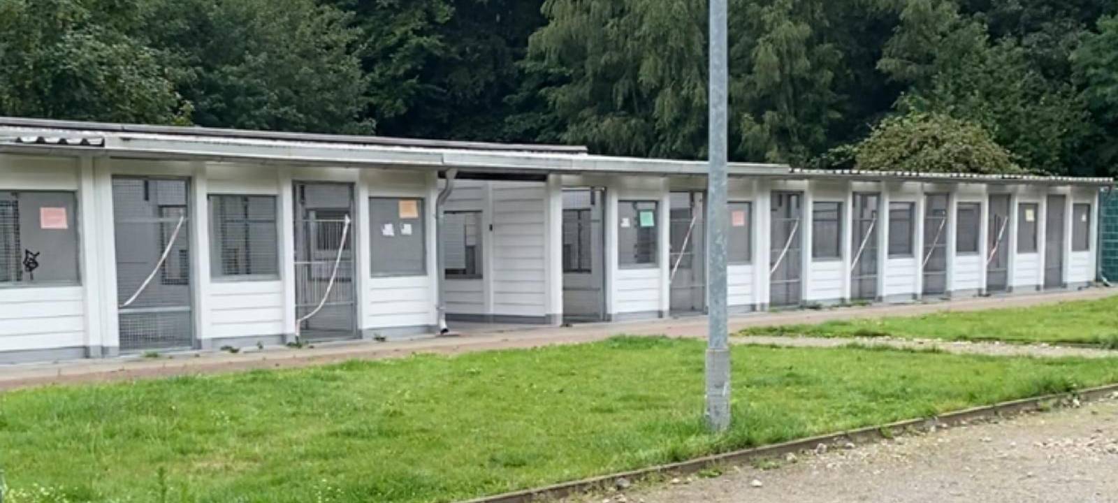 Neues Hundehaus für Tierheim